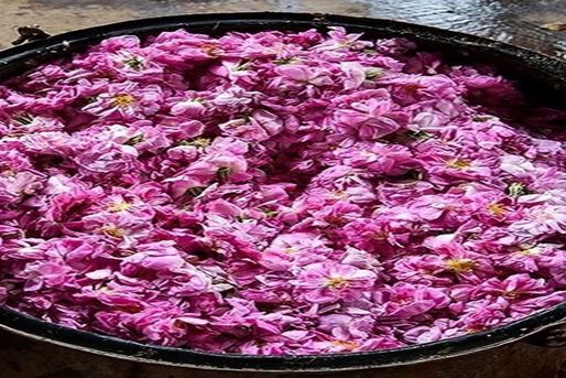 Golabgiri (Making Rosewater)